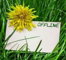 the word offline written on a card and placed in green grass with a yellow flower